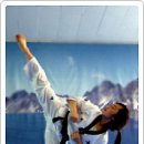 경희대 진 태권도 이미지