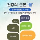 보습흙침대숨
