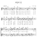 자일의 정 이미지