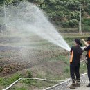 대원3리 이미지