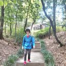 제724회 초안산 숲길(26.9.28) 이미지