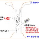 조아방제
