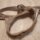 포우 파라다이스 이미지