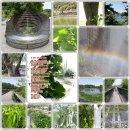 내마음의 정원 이미지