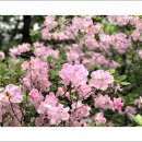 빼뻘버스정류장 이미지