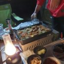 애견1번지 이미지