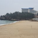 해파랑길 32코스 이미지