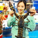 피시플러스 머니투데이