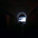 문경 오미자테마터널 이미지