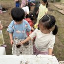 으뜸이야 이미지