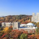 경희패션 매일경제