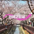 🌸진해군항제벚꽃축제🌸 이미지