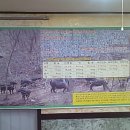 청석골 흑염소 이미지