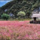 사지막길 이미지