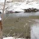 재스민향기 이미지