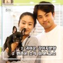 미니펫 강아지분양 고양이분양 성수점 네이버블로그