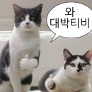 삼더크