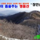 장안산 마실길 | 전라북도 장수군 장안산(무령고개-밀목재) 웰빙산행