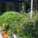 팔공산호박오리수성점 이미지