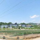 목천IC주유소 이미지