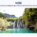 장백여행사 이미지