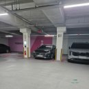 강남 운전연수 바른운전연구소 장롱면허 탈출