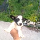 오미자희망마을 이미지