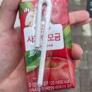 리포윅스 슈가링왁싱 여수점 내돈내산 후기/임산부 브라질리언왁싱 첫 도전 !