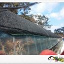 비타민 흑염소농장 이미지