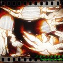 풍년꽃게 이미지