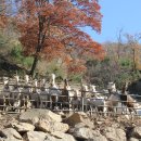 언덕위산양목장 이미지