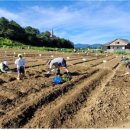 친환경농장 이미지