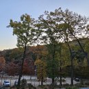 한미산 흥국사 만일회비 이미지