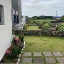 오조숙녀sea 이미지