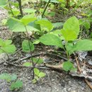 수만농장 이미지