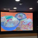 1인자감자탕 | 동네주민이 많이 오는 1인자감자탕 호매실점 후기