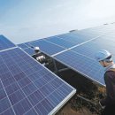 중부태양광발전소 이미지