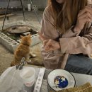 용신하우스 이미지