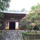 일광사 이미지