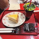 진성부분정비 | 자주 온다고 했잖아요 제가! 호시노겐 약속콘 후기