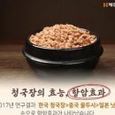 청국장 효능 청국장찌개 가루 분말 칼로리 이미지