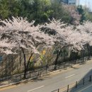 온하루 동물의료센터 이미지