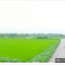 평택삼성어린이집 이미지