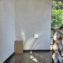 돌코롬성산 | 성산일출봉 바로 앞 숙소 돌코롬성산 1호점 내돈내산 가격 위치 추천 후기