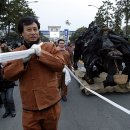 입춘허브 이미지