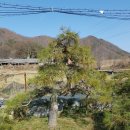 구암동387 이미지