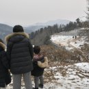 정인 이미지