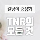 금산헤르쯔 동물병원 이미지
