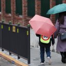 The Last Dual 이미지