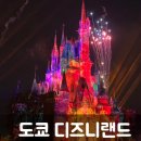 주식회사 동산 | 연말연시 도쿄 디즈니랜드 해피 엔트리 + DPA 올인한 방문 후기(베케이션 패키지 추천)